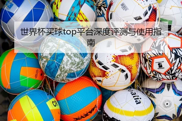 世界杯买球top平台深度评测与使用指南