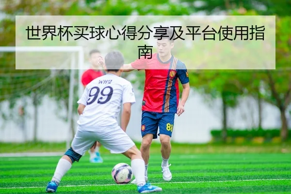 世界杯买球心得分享及平台使用指南