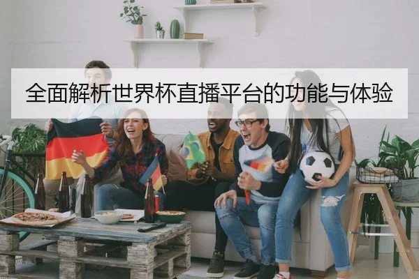 全面解析世界杯直播平台的功能与体验