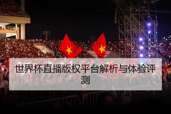 世界杯直播版权平台解析与体验评测
