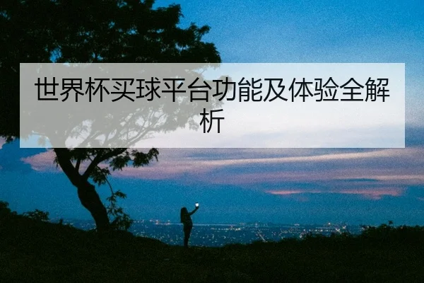 世界杯买球平台功能及体验全解析