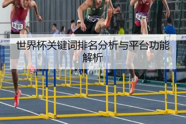 世界杯关键词排名分析与平台功能解析