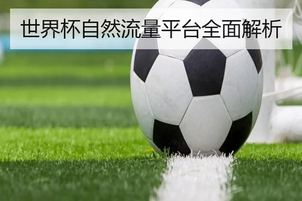 世界杯自然流量平台全面解析