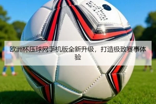 欧洲杯压球网手机版全新升级，打造极致赛事体验