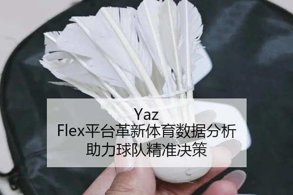 Yaz Flex平台革新体育数据分析 助力球队精准决策
